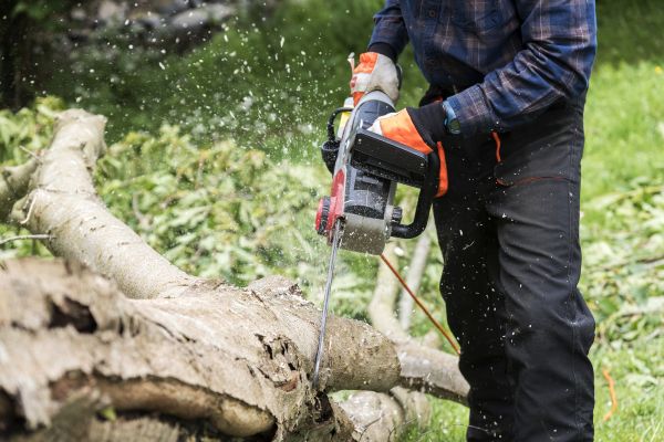 Branch Removal Service in Lincoln