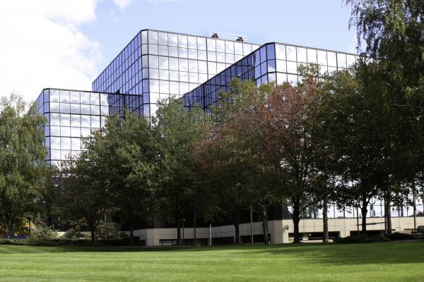 Commercial Tree Trimming in Lincoln