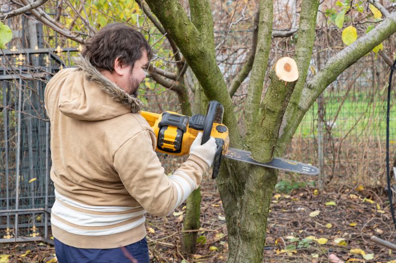Tree Limb Trimming Service